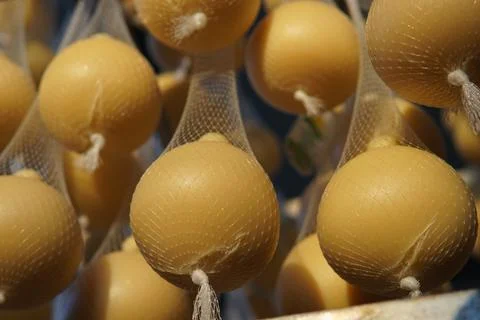 Cheeses hanging in drying nets at a cheese factory. 스톡 사진