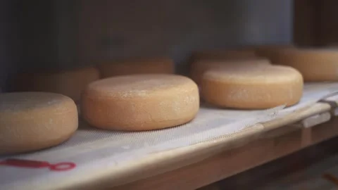 Cheeses view on queue with selective focus in factory Vídeos de archivo 270214834