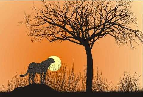 Cheetah and sunset Stock Illustration