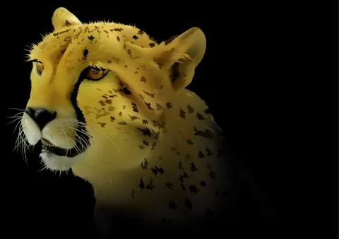 Cheetah on Black Background Stock Illustration