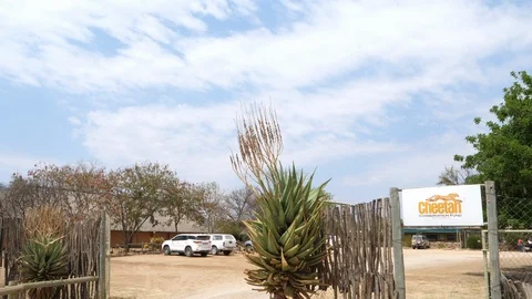 Cheetah Conservation Fund entrance, Namibia, Africa in 4K Stock Footage 90804241