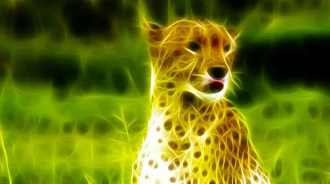 Cheetah Fractal Rendering Stock Footage 10773536