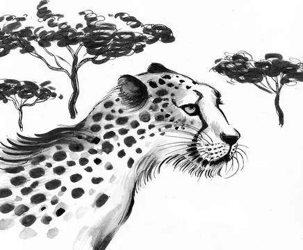 Cheetah head Stock Illustration