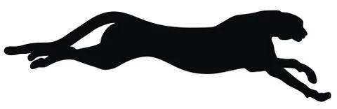 Cheetah Stock Illustration