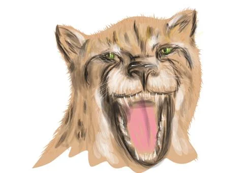 Cheetah Stock Illustration