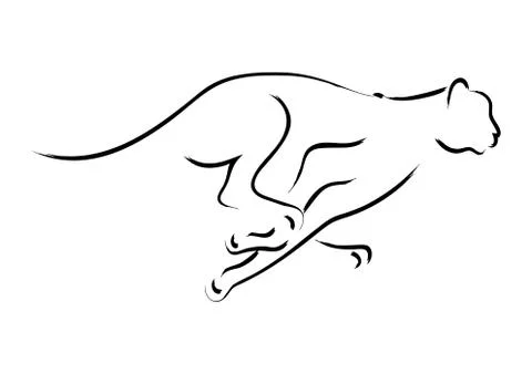 Cheetah Stock Illustration