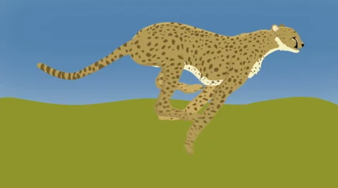 Cheetah Loop with Background Stock Footage 47645303