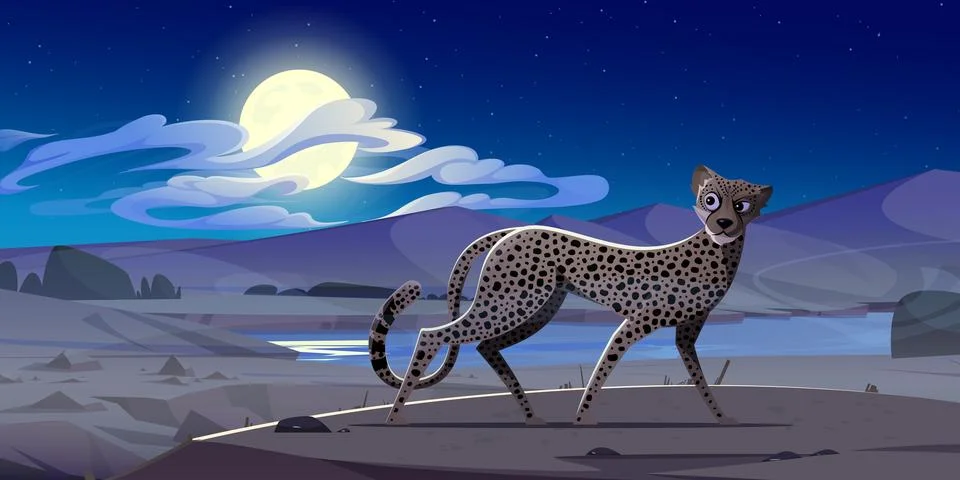 Cheetah at night african desert landscape, gepard Stock Illustration