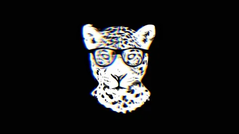 Cheetah or leopard in glasses with a glitch effect on a black background. Stock Footage 219928007