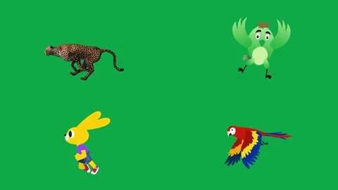Cheetah Parrot Runner Macaw animation on green screen minimal animated Stock Footage 334704382