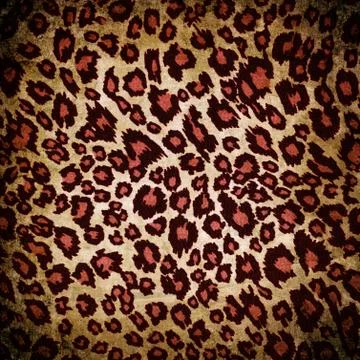 Cheetah pattern 写真素材