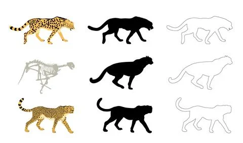 Cheetah pride vector line contour silhouette illustration Stock Illustration