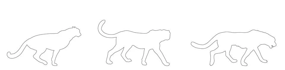Cheetah pride vector line contour silhouette illustration Stock Illustration