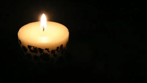 Cheetah print candle Video stock 11019601