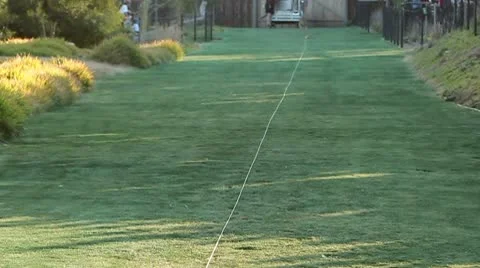 Cheetah Run Stock Footage 10583510