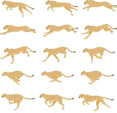 Cheetah runing animation spritesheet Stock Illustration