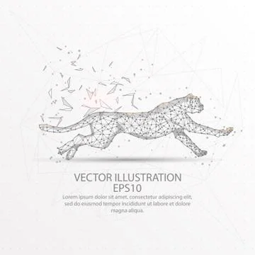 Cheetah running low poly wire frame on white background. Stock Illustration