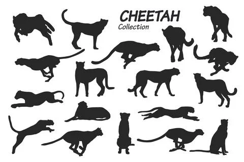 Cheetah silhouettes 스톡 일러스트