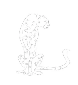 Cheetah sits drawing lines, vector Stock Illustration