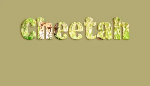 Cheetah Text From Cheetah Image Stock Illustration