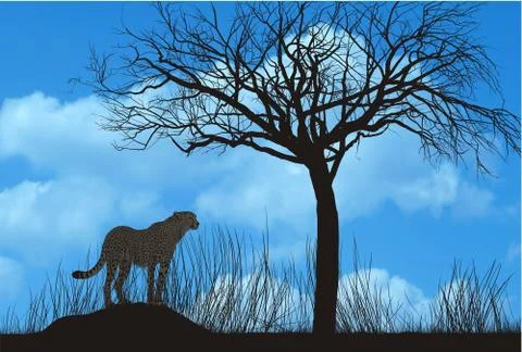Cheetah under tree Stock-Illustration