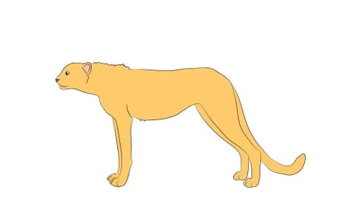 Cheetah, which stands, vector, white background Stockillustratie