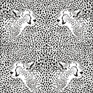 Cheetahs background 스톡 일러스트