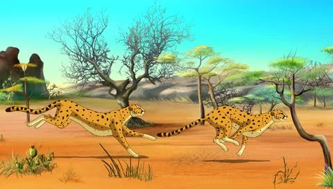 Cheetahs on the Hunt 스톡 일러스트