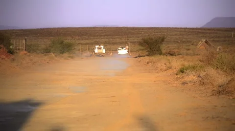 Cheetah's run Stock Footage 3834522