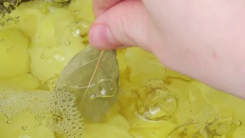 Chef adding bay leaf to boiling potatoes slow motion. Video stock 305432107