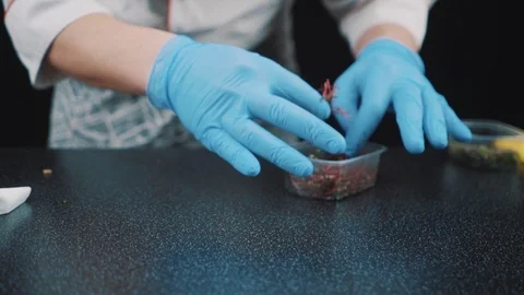 Chef adding finishing touch Stock Footage 88715153