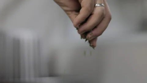 Chef Adding Parsley Inside of a Pan Stock Footage 129333799
