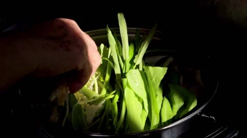 Chef adding vegetable to Homemade Sukiyaki or Shabu boiling in pot Stock Footage 159004271