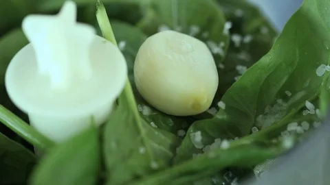 Chef adds salt and pepper into the blender with spinach. Stock Footage 90994514