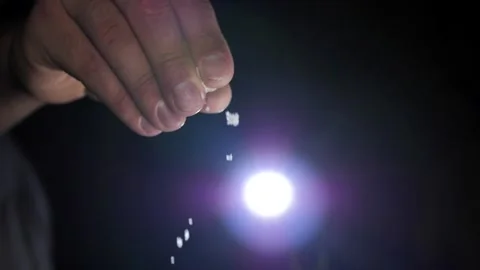 The chef adds salt to the dish, cooks in slow motion, prepares food Stock Footage 211351909
