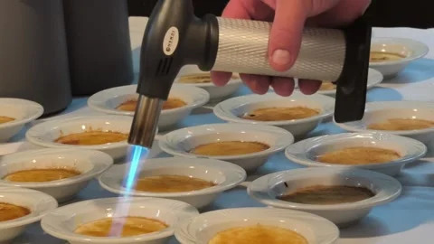 Chef Caramelizing Crème Brûlée with a Culinary Torch Stock-Footage 343633585