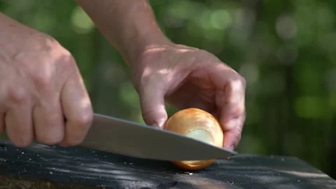 Chef chopping fresh onion on a wooden chopping board in the middle of the forest Stock Footage 160863553