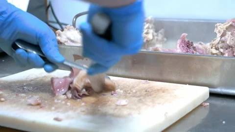 Chef chopping pieces of meat on a cutting board Stock Footage 149756166