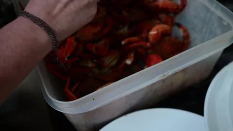 Chef cleaning and preparing freshly cooked red crabs Stock-Footage 325561661