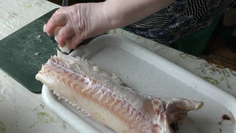 The chef is cleaning the cod fish.  healthy food concept Stock Footage 136637646