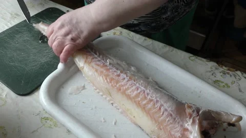 The chef is cleaning the cod fish.  healthy food concept Stock Footage 136637734