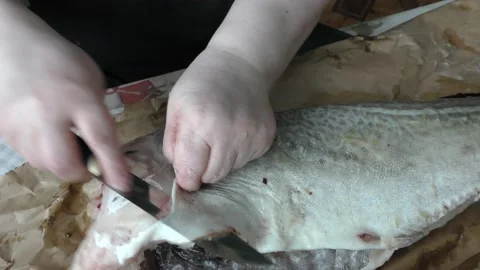 Chef cleans cod fish with a knife Stock Footage 172361389
