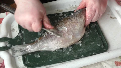 The chef cleans the fish with a knife Stock Footage 162449881