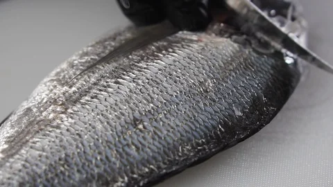 Chef cleans fresh fish on a cutting board, slow motion. Stock Footage 125248702