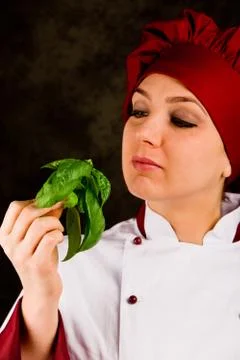 Chef is controlling basil quality Stock Photos