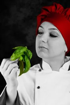 Chef is controlling basil quality Stock Photos