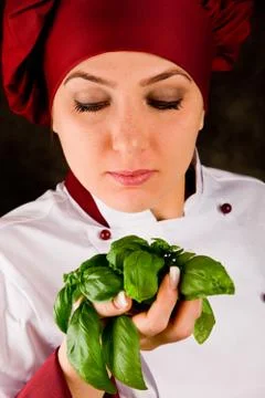 Chef is controlling basil quality Stock Photos