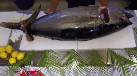 Chef cook hands cutting knife big bluefin tuna fish time-lapse top view HD video Stock Footage 67487833