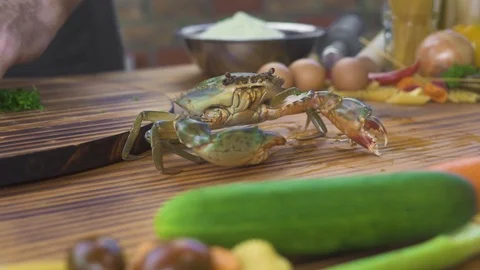 Chef cook preparing ingredient for italian pasta with seafood in restaurant Stock Footage 105175461