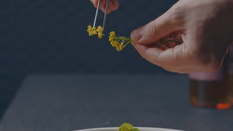 Chef cook wild boar decorates the dish fragrant rape delicacy in the restaurant Video stock 129709586